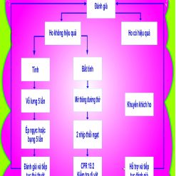 Cấp cứu dị vật đường thở BB4035
